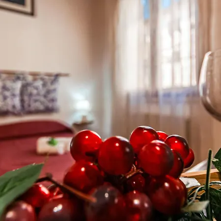 Camy Wine House Con Giardino Vicino Stazione Ferroviaria *