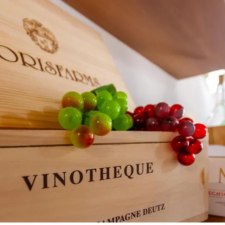 Apartment Camy Wine House Con Giardino Vicino Stazione Ferroviaria *