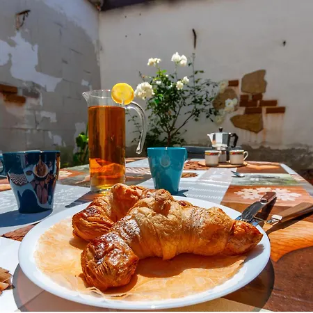 Camy Wine House Con Giardino Vicino Stazione Ferroviaria Livorno